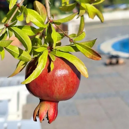Apartment M Sveti Vlas