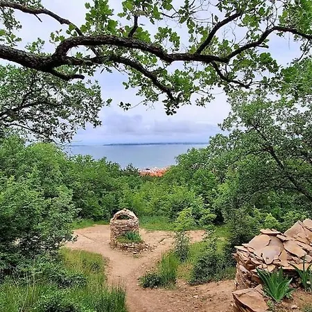 M * Свети Влас