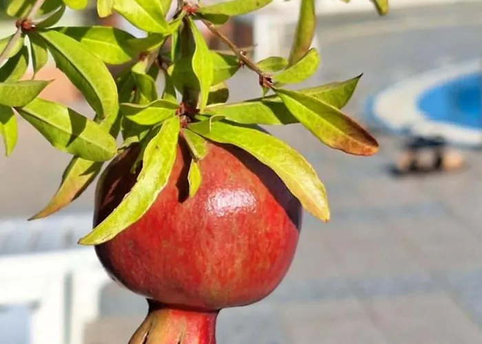 Appartamento M Sveti Vlas